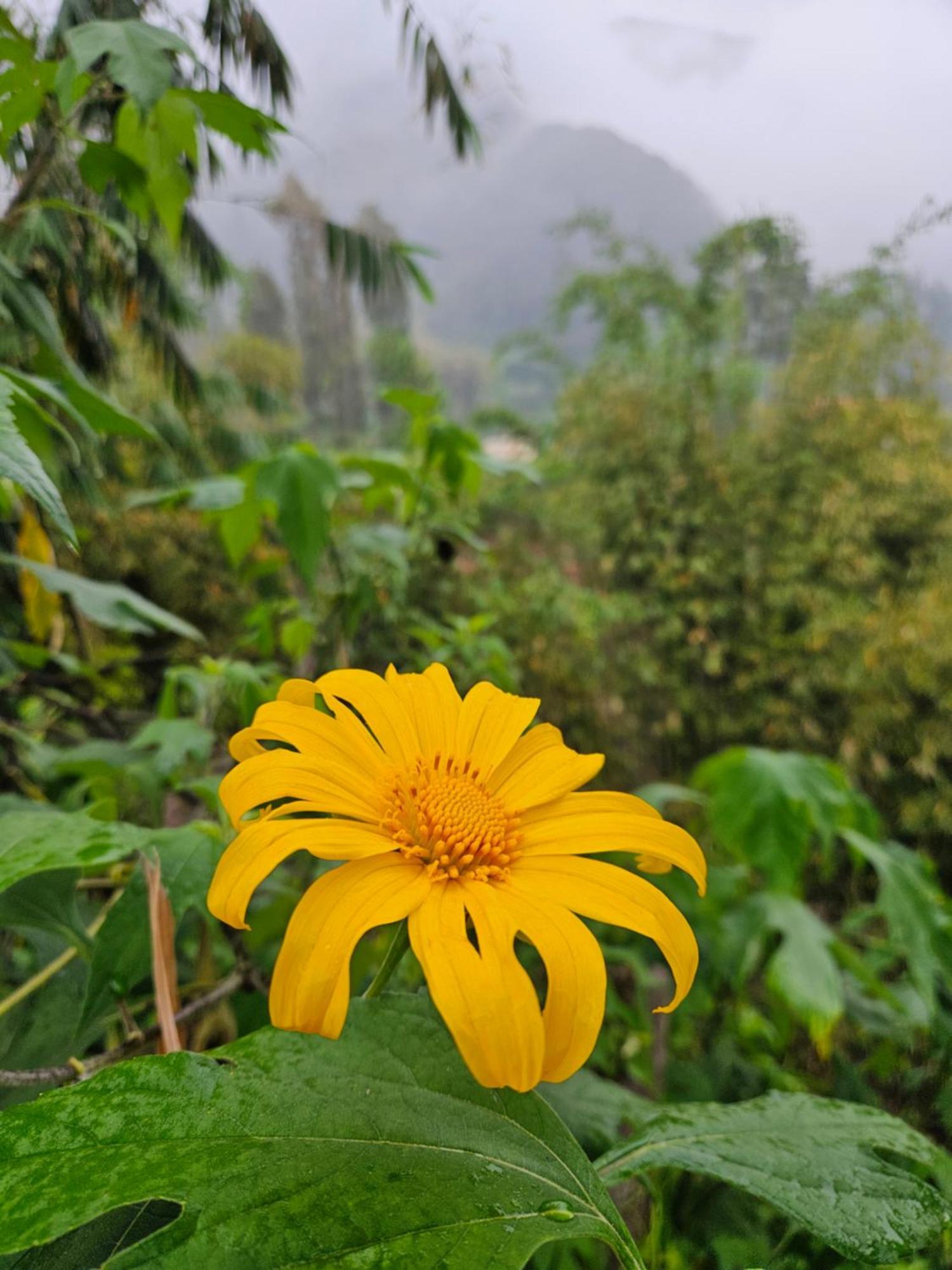 Ngadisari Arum Bromo Villas מראה חיצוני תמונה